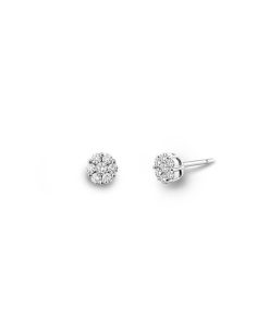 Joyas Nicols | Pendientes Diamantes Camelia 0.30 Dormilonas